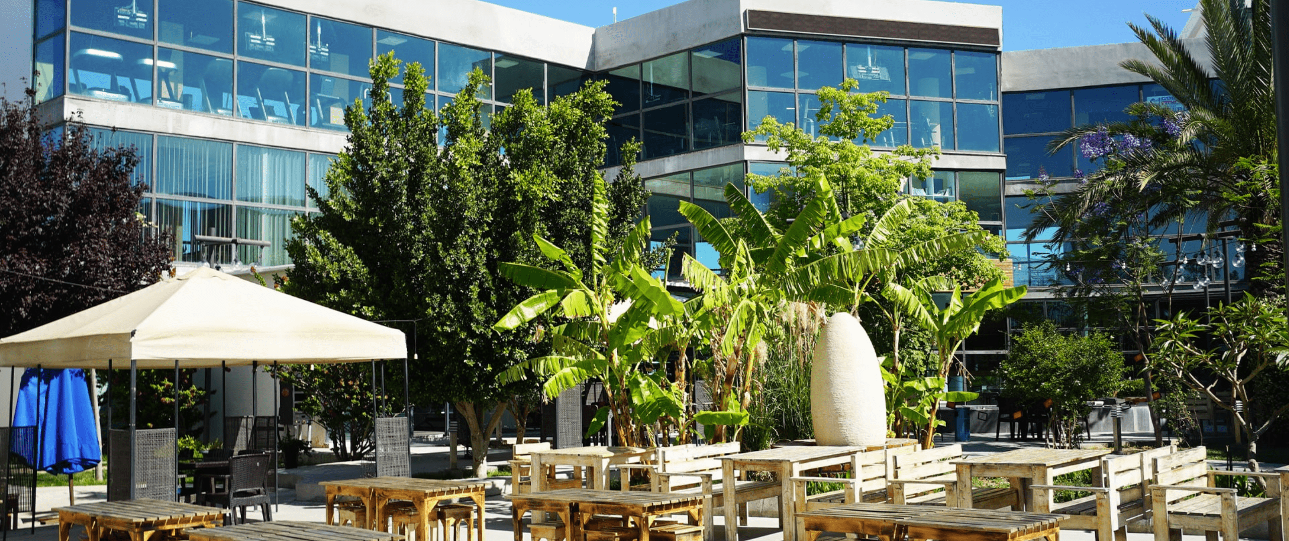 alasia-üniversitesi