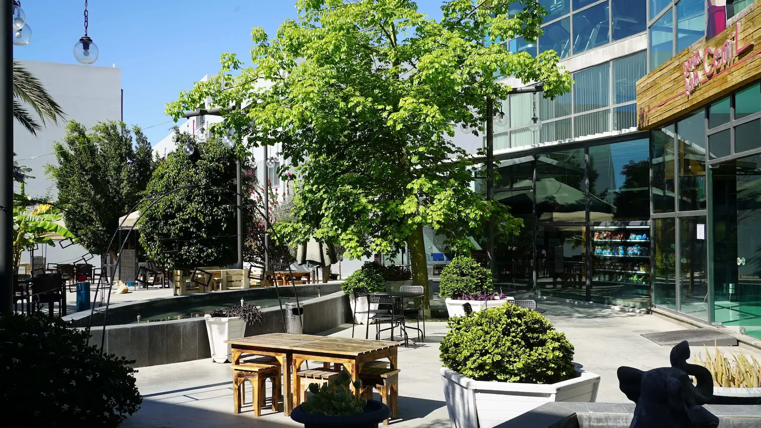 Kariyerine Güçlü Bir Başlangıç Yap