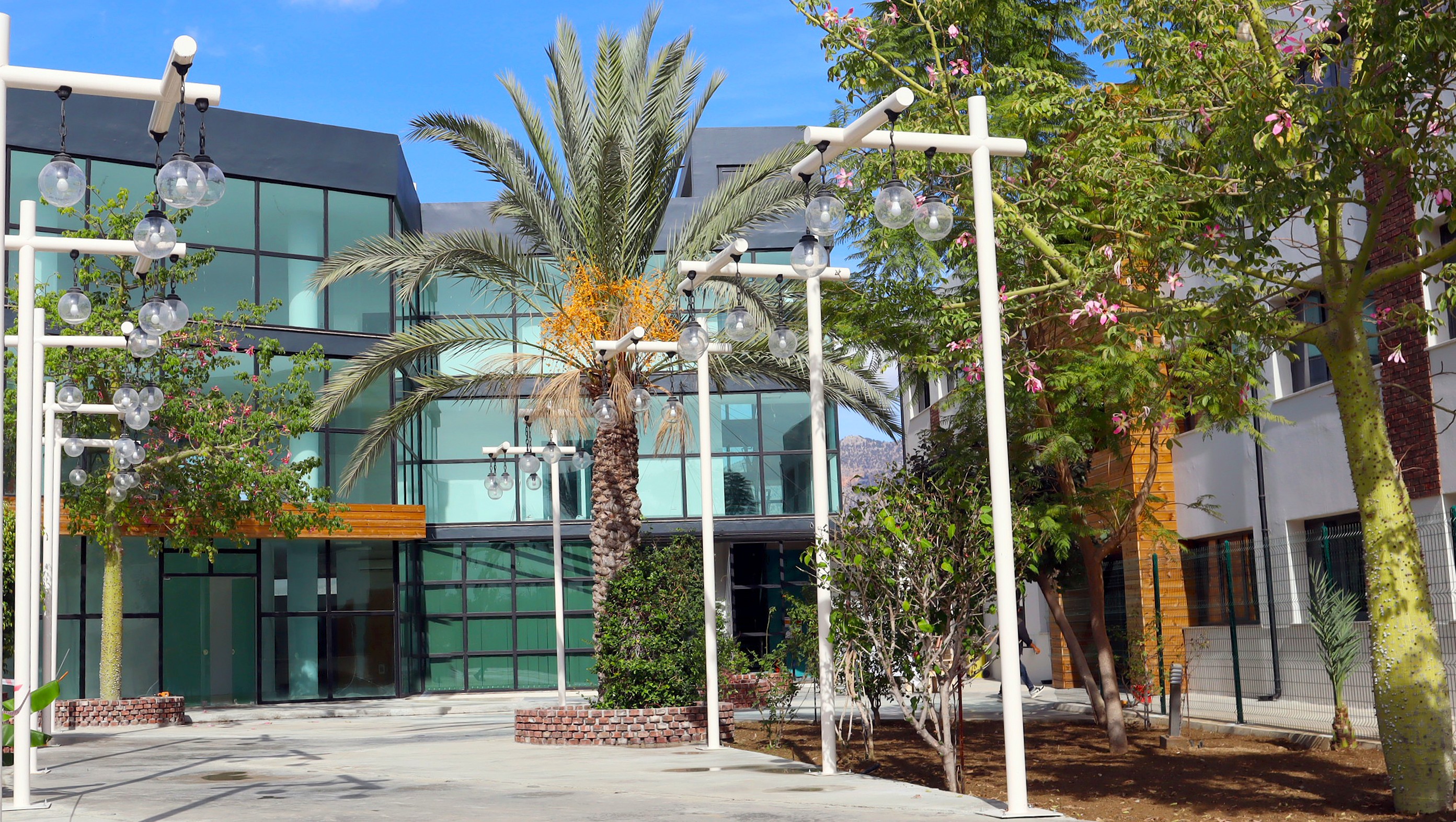 A University Shaped by Vision, Not Tradition