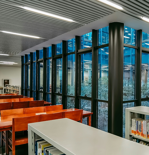 International Alasia University