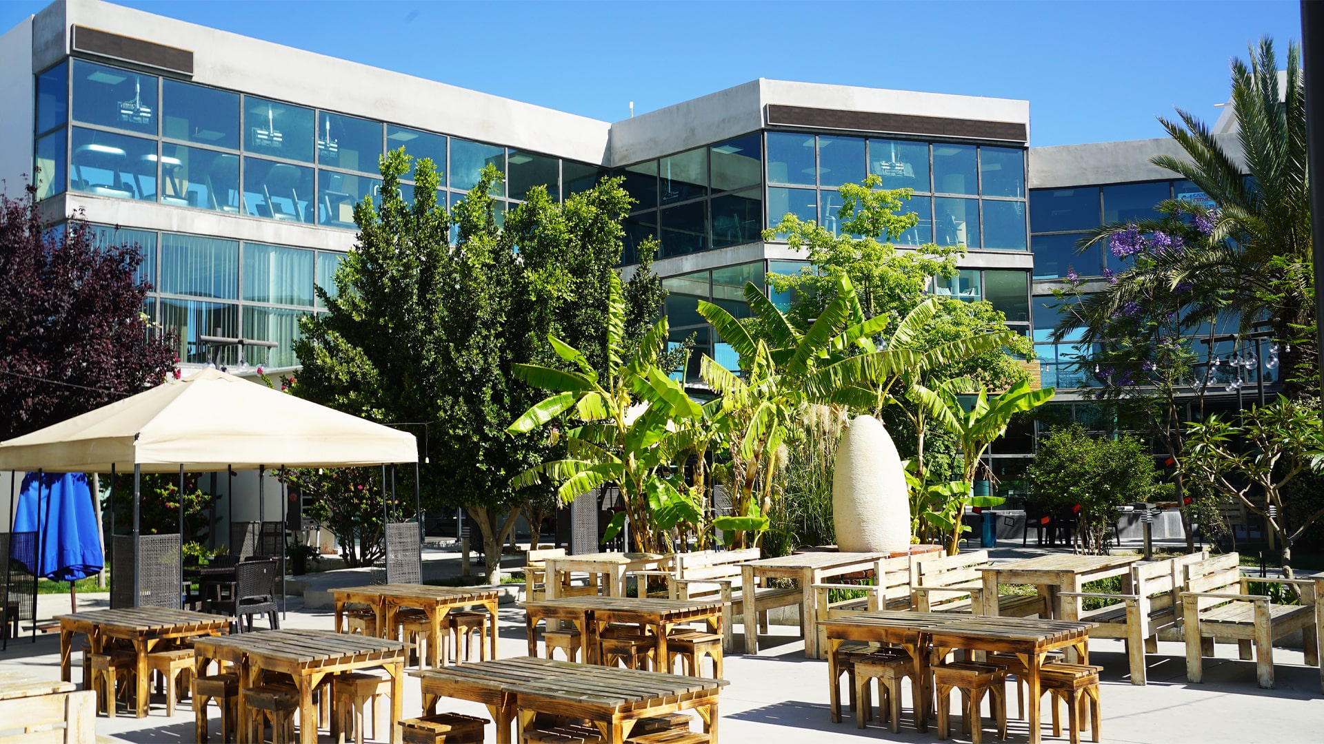 campus kapak-min (1)